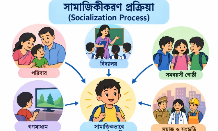 Child Development And Pedagogy(CDP): সামাজিকীকরণ প্রক্রিয়া (Socialization Process)