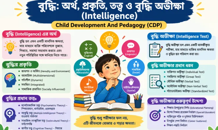 বুদ্ধি: অর্থ, প্রকৃতি, তত্ত্ব ও বুদ্ধি অভীক্ষা | Intelligence in Child Development and Pedagogy