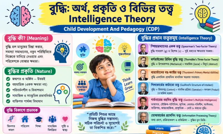 বুদ্ধি: অর্থ, প্রকৃতি ও বিভিন্ন তত্ত্ব | Intelligence Theory for TET, CTET & CDP