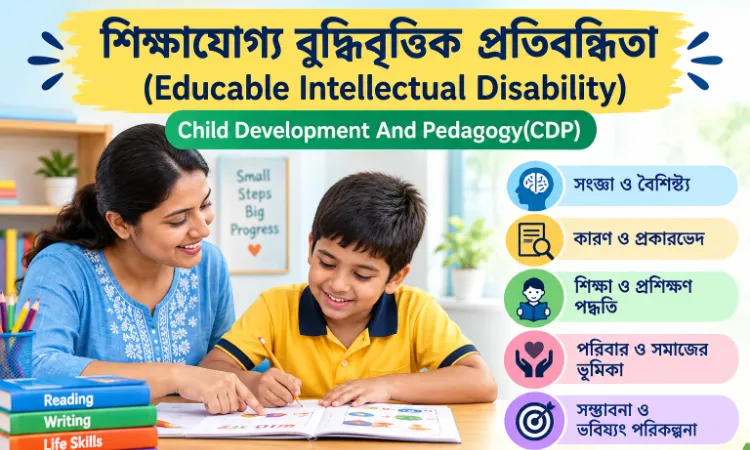 শিক্ষাযোগ্য বুদ্ধিবৃত্তিক প্রতিবন্ধিতা (Educable Intellectual Disability): বৈশিষ্ট্য ও শিক্ষা | TET, CTET, CDP, Primary TET ও Upper Primary TET
