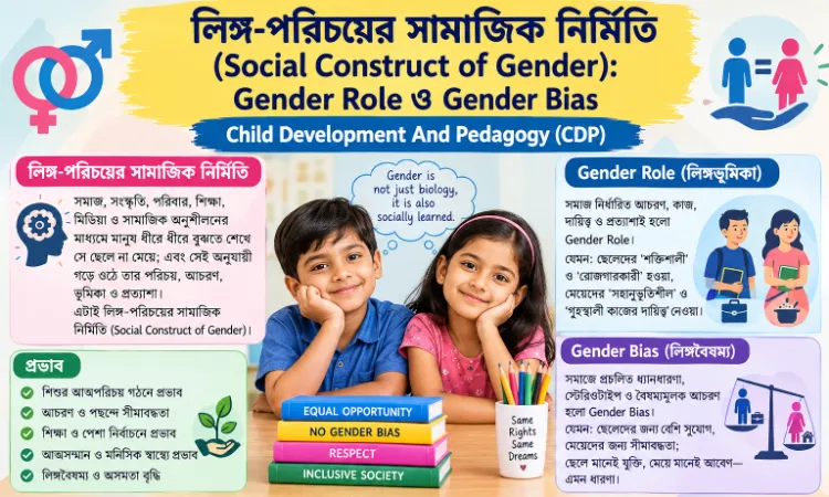 লিঙ্গ-পরিচয়ের সামাজিক নির্মিতি (Social Construct of Gender): Gender Role ও Gender Bias | TET, CDP, CTET, Primary TET, Upper Primary TET এবং CDP