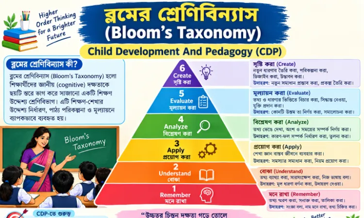 ব্লুমের শ্রেণিবিন্যাস (Bloom's Taxonomy) | TET, CTET CDP Notes