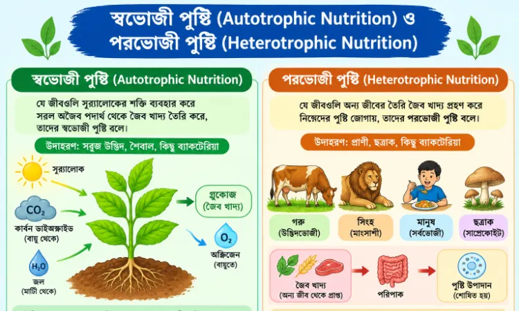 স্বভোজী পুষ্টি (Autotrophic Nutrition) ও পরভোজী পুষ্টি (Heterotrophic Nutrition)