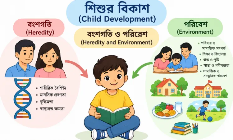 শিশুর বিকাশ (Child Development): বংশগতি ও পরিবেশ (Heredity and Environment)- Upper Primary TET