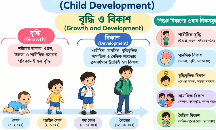 বৃদ্ধি ও বিকাশ (Growth and Development): Upper Primary TET, Child Development নোট