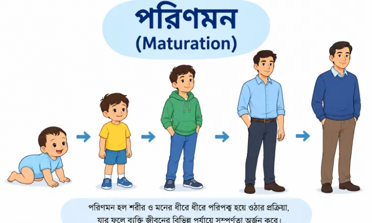 Child Development: পরিণমন (Maturation): অর্থ, সংজ্ঞা, প্রকৃতি ও বৈশিষ্ট্য