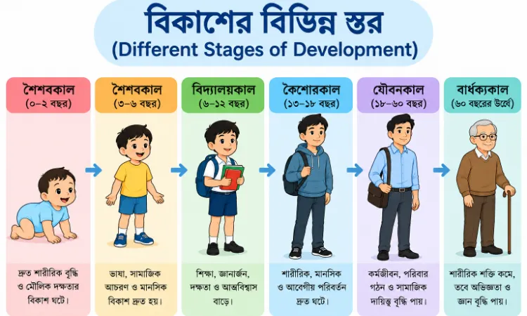 Child Development: বিকাশের বিভিন্ন স্তর (Different Stages of Development)